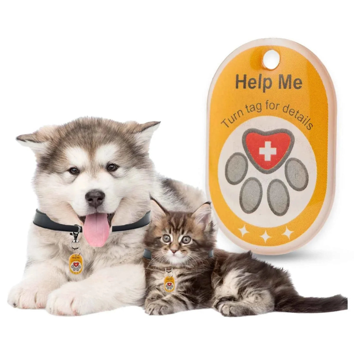 Genie Pet Tag Oval