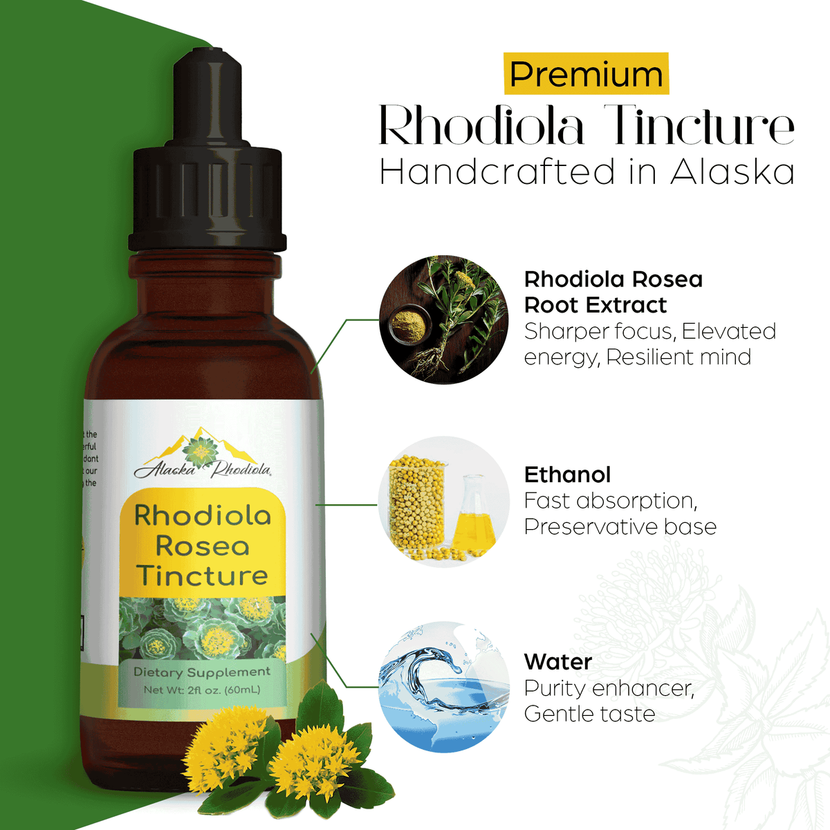 Alaska Rhodiola® Tincture – 2 oz Bottle